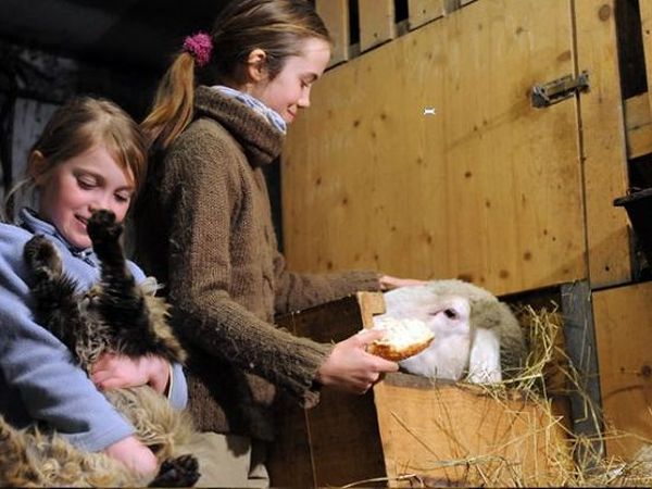 Agriturismo Glinzhof - foto 14354.jpg