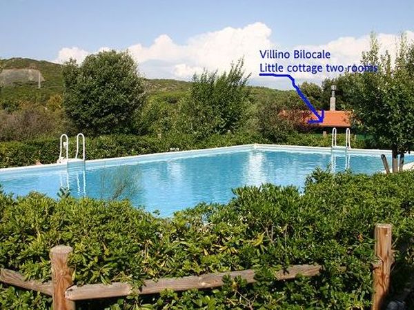 Condominio Residenza Solferino - foto 14631.jpg