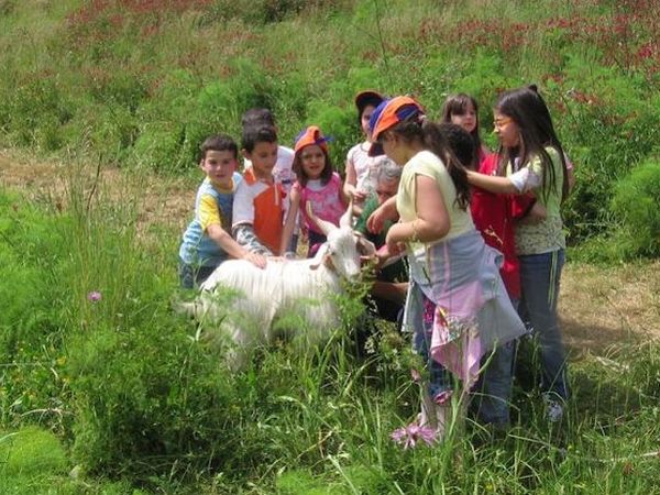 Azienda Agricola ��Terre di Vasia�� - foto 14906.jpg