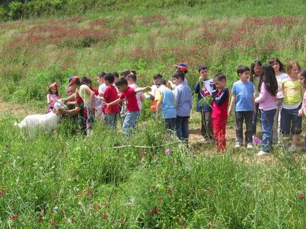 Azienda Agricola ��Terre di Vasia�� - foto 14907.jpg