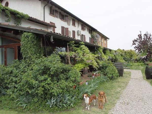 Agriturismo La Pace - foto 15330.jpg