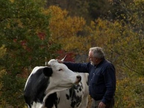 Agriturismo Montagna Verde - foto 15434.jpg