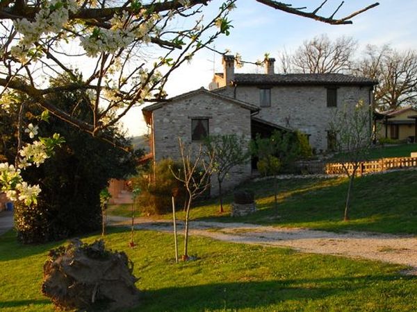 Agriturismo Biologico Pieve del Colle - Fattoria Didattica - foto 15541.jpg