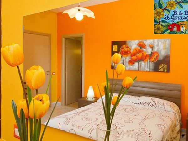 Bed and breakfast Il Girasole - foto 15559.jpg