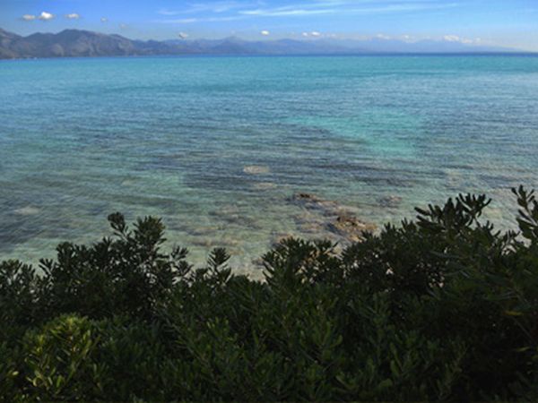 La Francesca Scario Residence - foto 15660.jpg