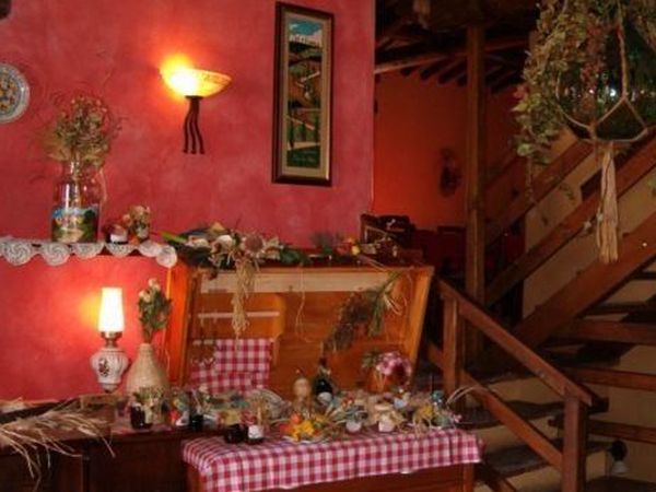 Agriturismo Biologico Pieve del Colle - Fattoria Didattica - foto 15728.jpg