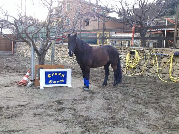 Residence Villa Alda - foto 15752.jpg