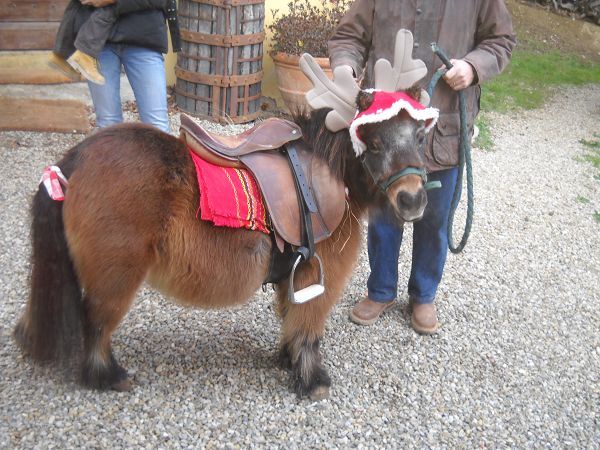 Agriturismo Podere Il Poggiolo - foto 15795.jpg