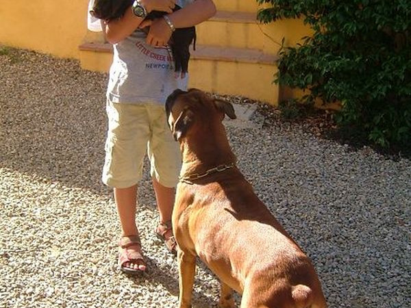 Agriturismo Podere Il Poggiolo - foto 15797.jpg