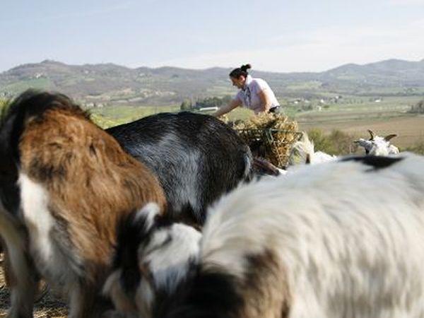 Agriturismo Calagrana - foto 15850.jpg
