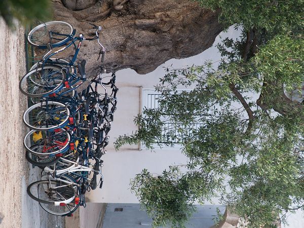 Masseria Tutosa - foto 16132.jpg