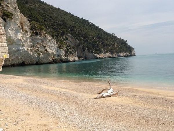 Case Vacanze L�Uliveto - foto 16149.jpg