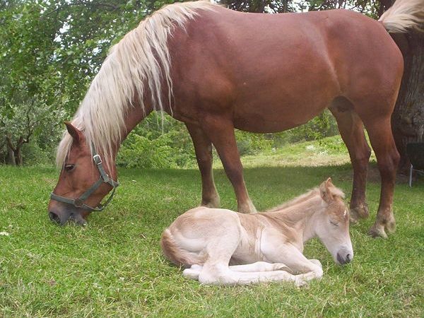 Agriturismo la Conca - foto 3706.jpg