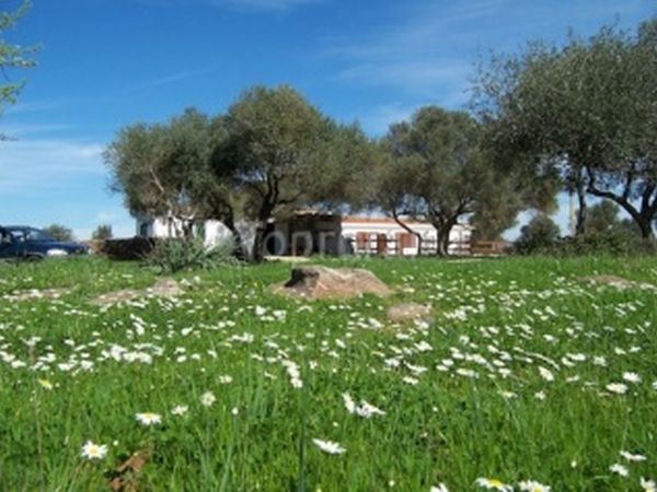 Ecoparco Neul� - foto 16750.jpg