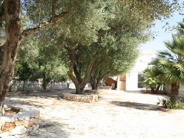 Villa Gallipoli Family - foto 16911.jpg