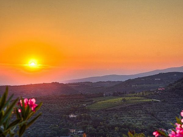 Agriturismo Il Pianetto - foto 16960.jpg