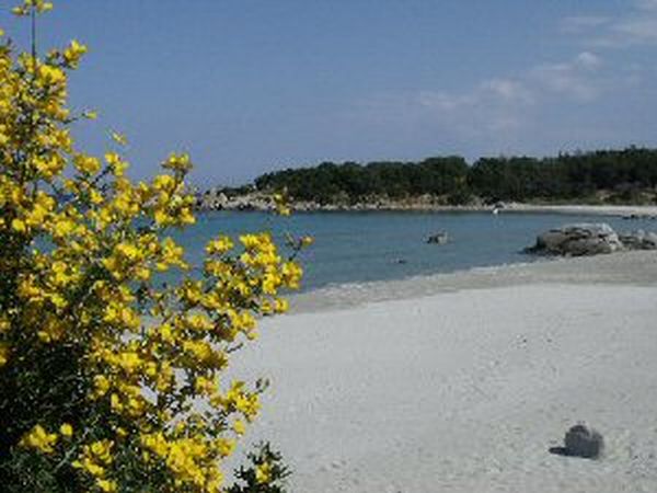 Casa Vacanze Tortol� - foto 17048.jpg