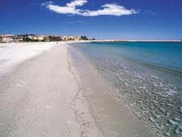 Blu Sardinia srl - foto 17529.jpg