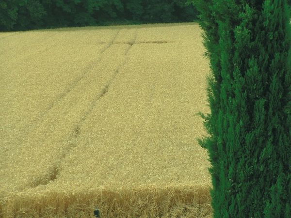 Le Case Coloniche  - foto 18186.jpg