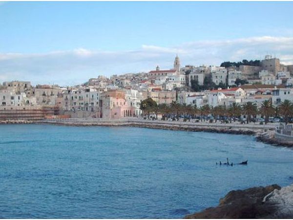 Agriturismo Vieste I Tesori del Sud  - foto 18305.jpg