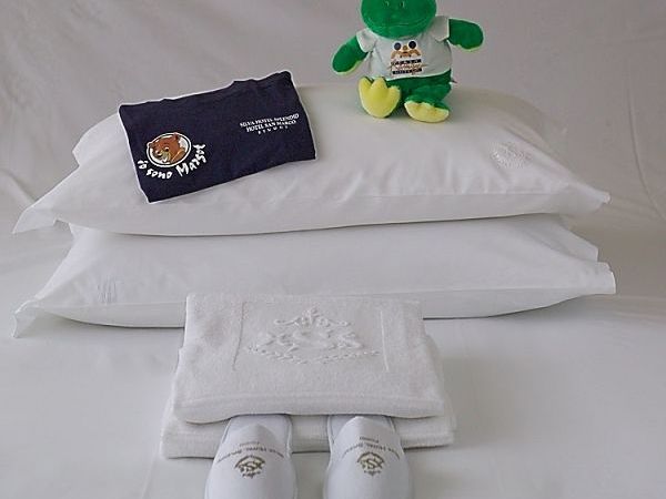 Silva Hotel Splendid  - foto 18470.jpg