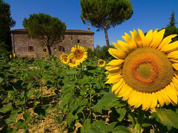 Agriturismo Il Molinello - foto 18601.jpg