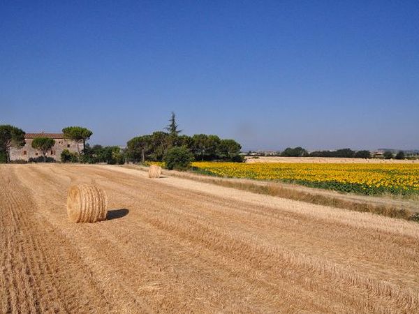 Agriturismo Il Molinello - foto 18611.jpg