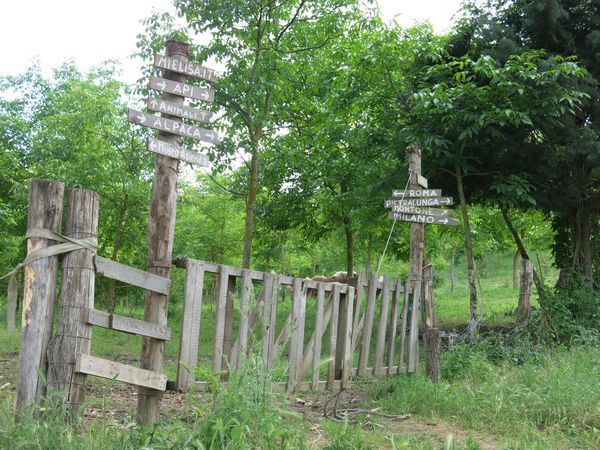 La Fattoria di Mielisa - foto 18960.jpg