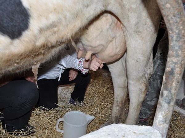 Agriturismo la Fattoria - foto 19024.jpg