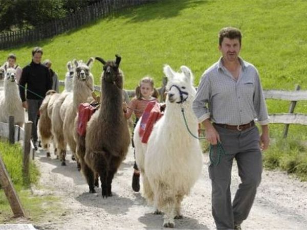 Naturhotel Wieserhof - foto 19266.jpg