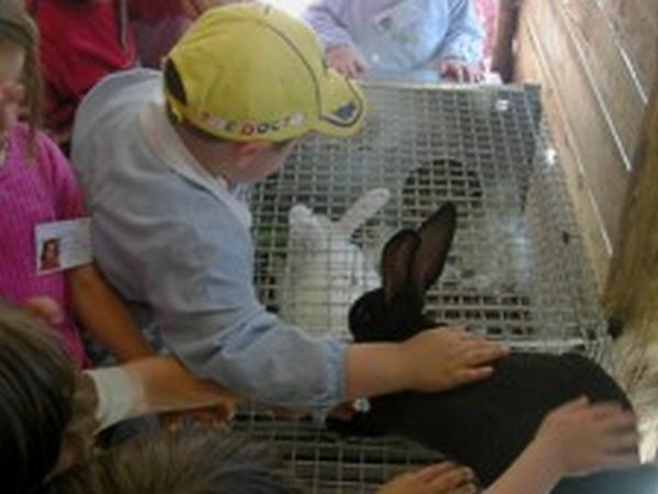Agriturismo il Giardino - foto 19406.jpg