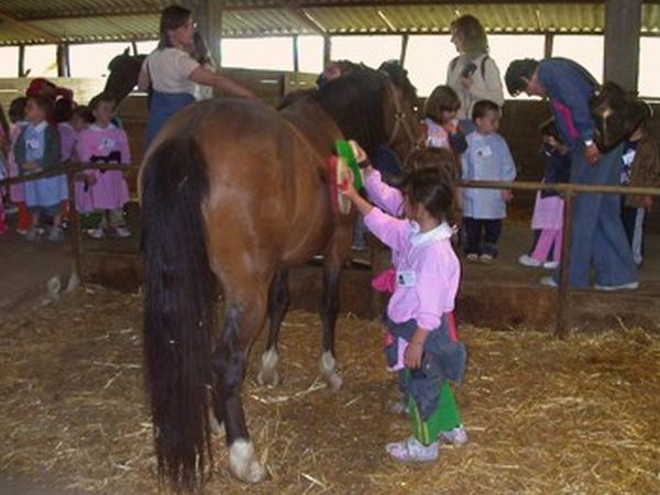 Agriturismo il Giardino - foto 19407.jpg