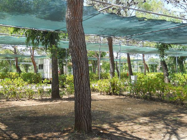 Grotta dell�Acqua - foto 19525.jpg