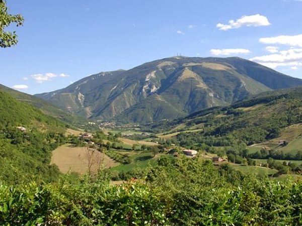 Agriturismo Ca� Licozzo - foto 19574.jpg