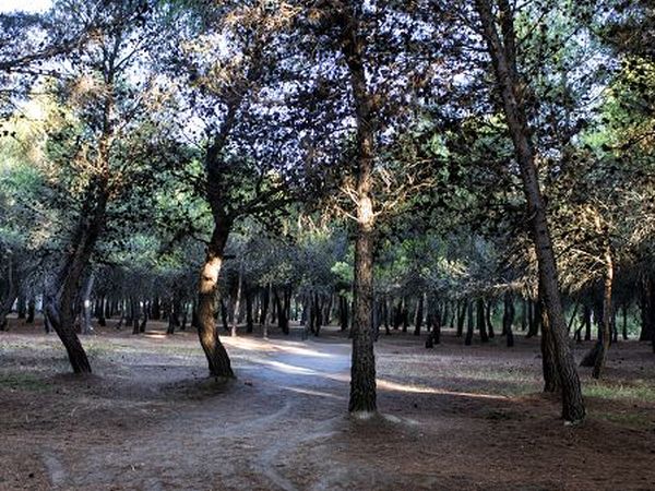 Villaggio Giardini d�Oriente - foto 20336.jpg