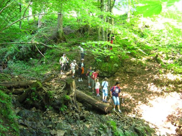 Maso Valfloriana - foto 20606.jpg