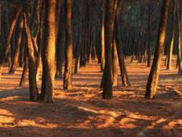 Club Nature Village  - foto 20837.jpg