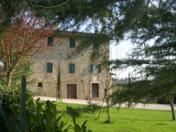 Fattoria di Rigone - foto 20858.jpg