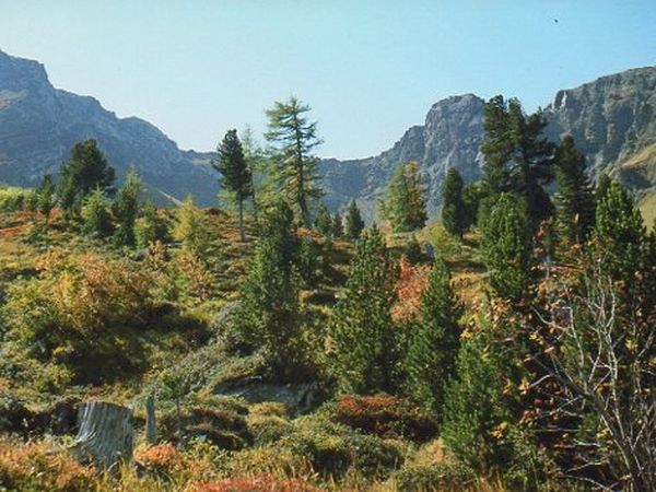 Park Camping Nevegal - foto 20930.jpg