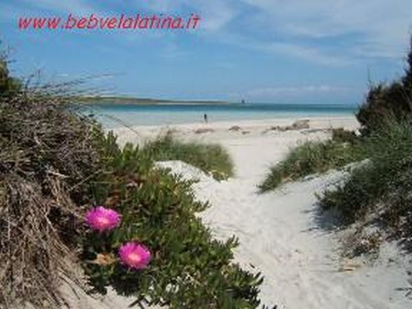 B&B la Vela Latina - foto 5379.jpg