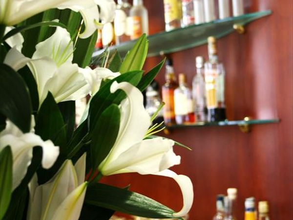 Residence Piccadilly - foto 21036.jpg