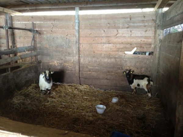 Agriturismo Le Vigne - foto 21153.jpg