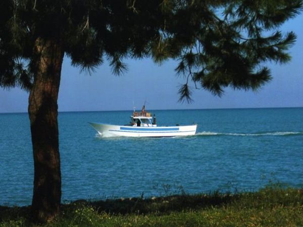 Agriturismo Grassetti - foto 21485.jpg