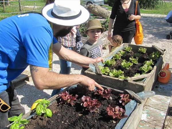 Fattoria Didattica Il Podere Agriturismo - foto 21740.jpg
