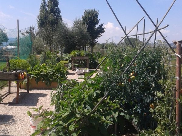 Fattoria Didattica Il Podere Agriturismo - foto 21744.jpg