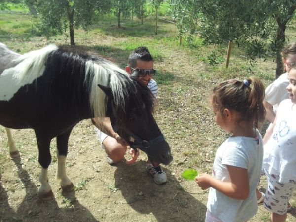 Fattoria Didattica Il Podere Agriturismo - foto 21753.jpg