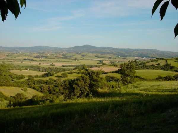 Agriturismo Montalto - foto 22317.jpg