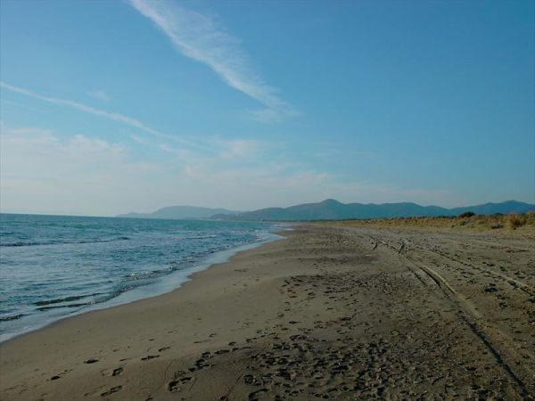 Agriturismo Montalto - foto 22318.jpg