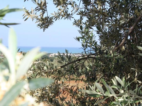 Agriturismo SS Annunziata - foto 22337.jpg