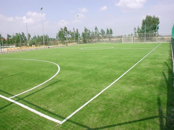 Fattoria la Principina - foto 22486.jpg